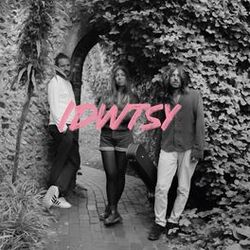 Cover of IDWTSY