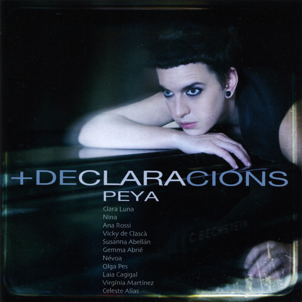 Picture of +Declaracions