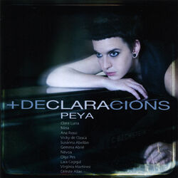 Cover of +Declaracions