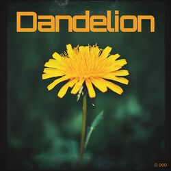 Cover of Dandelion