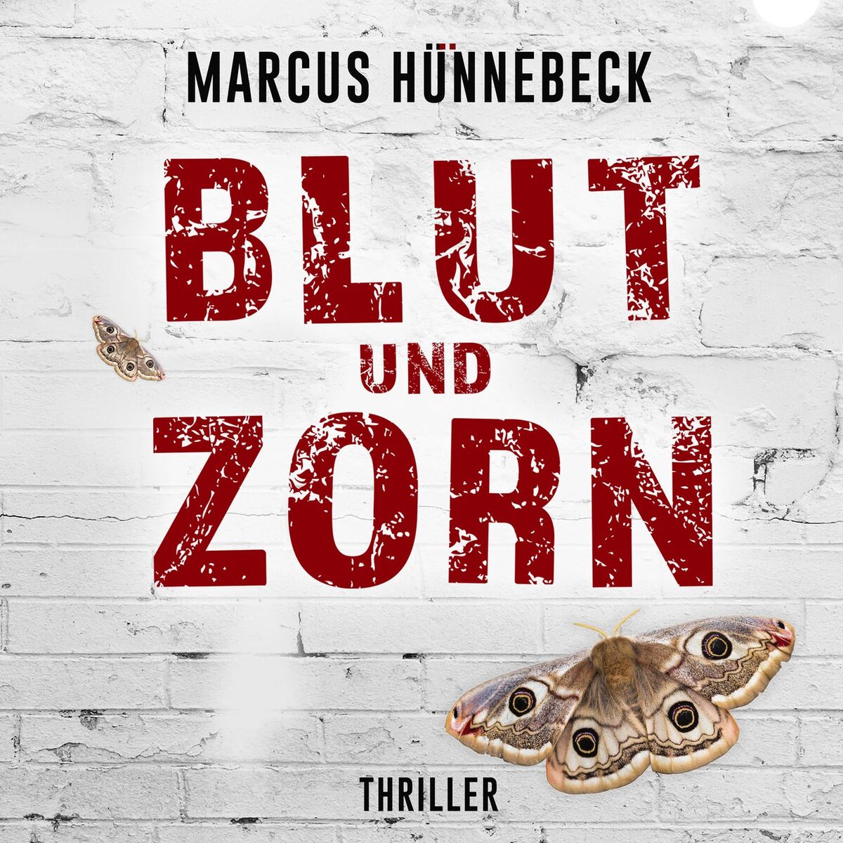 Album cover of Kapitel 1 - Blut und Zorn - Drosten und Sommer, Band 3
