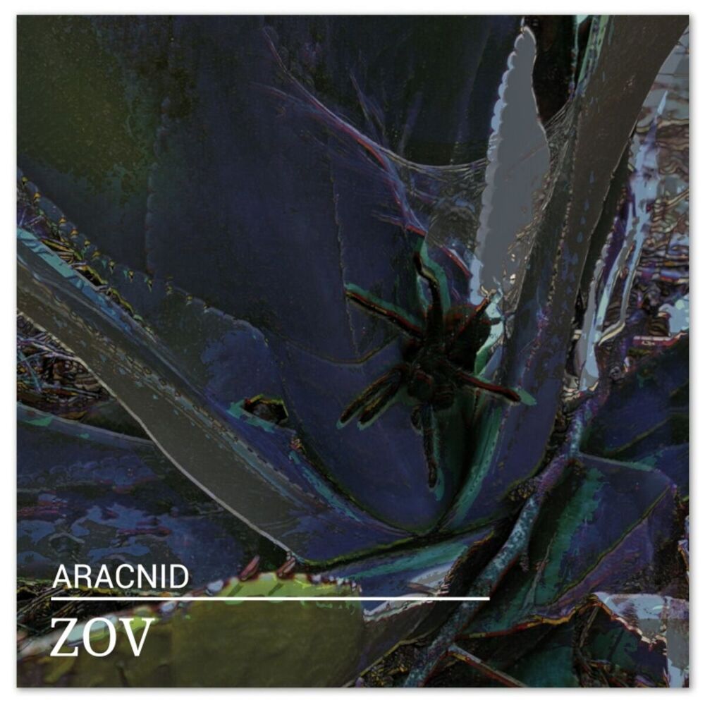 Picture of Aracnid