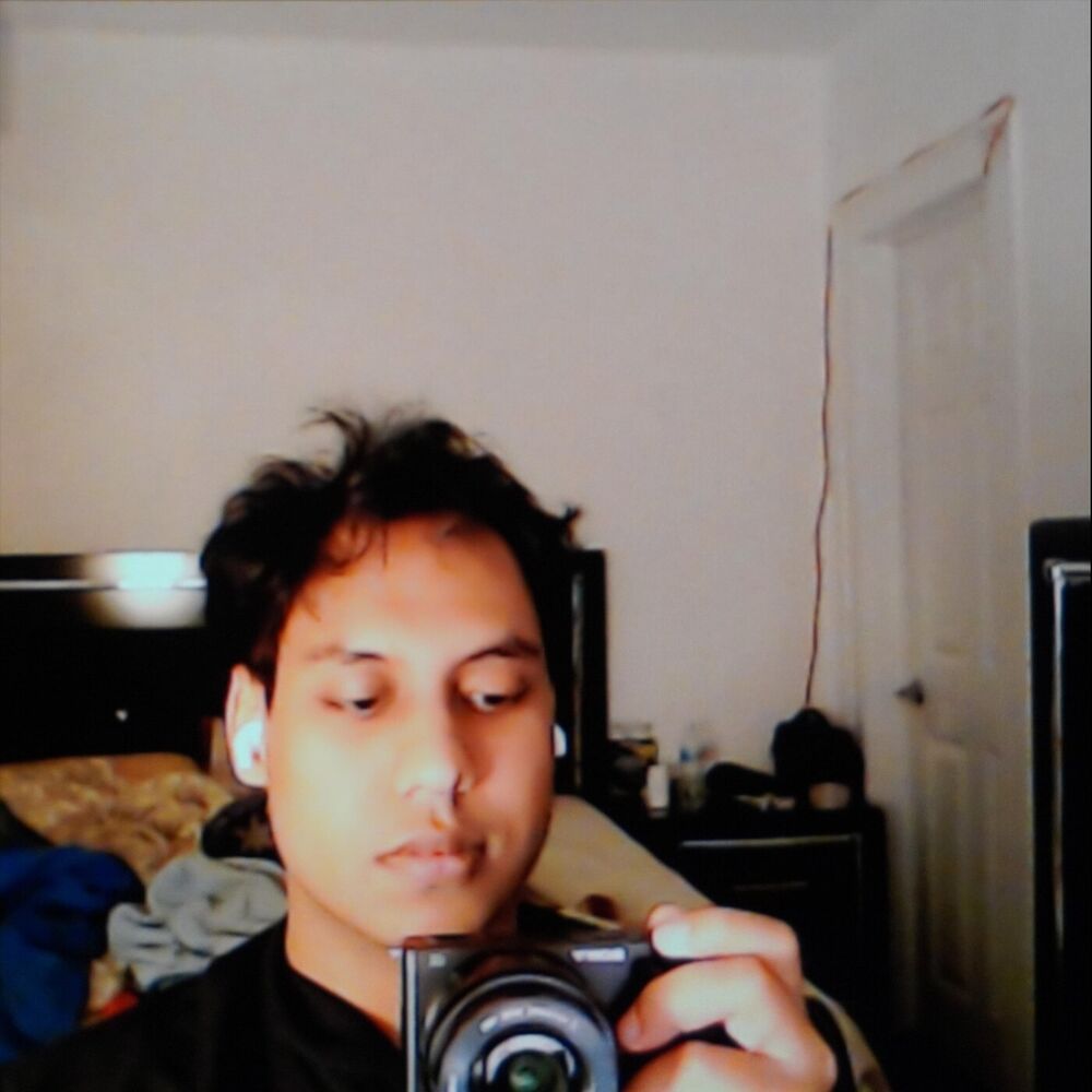 Picture of bloom