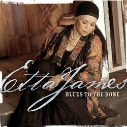 Cover of Blues To The Bone