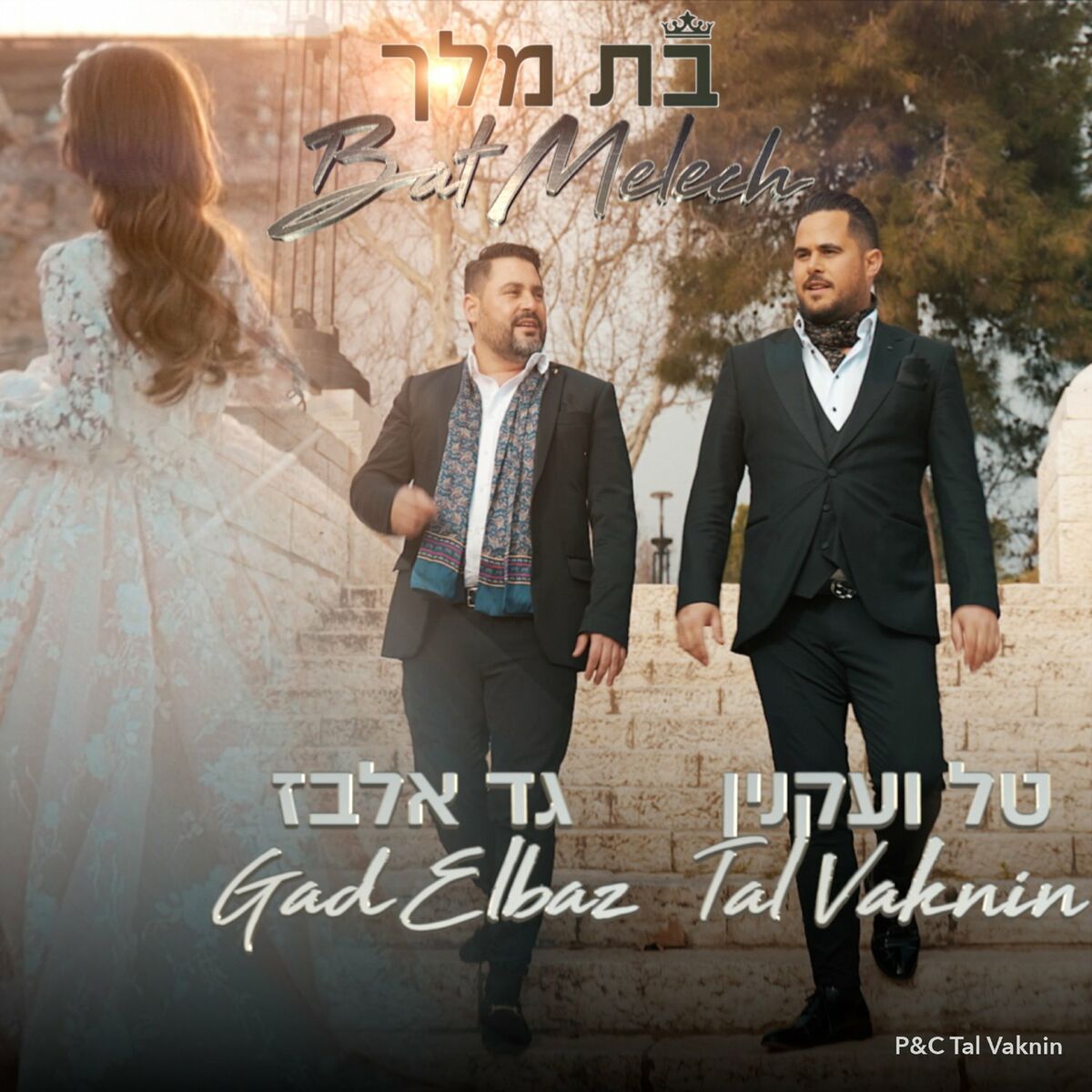Album cover of בת מלך