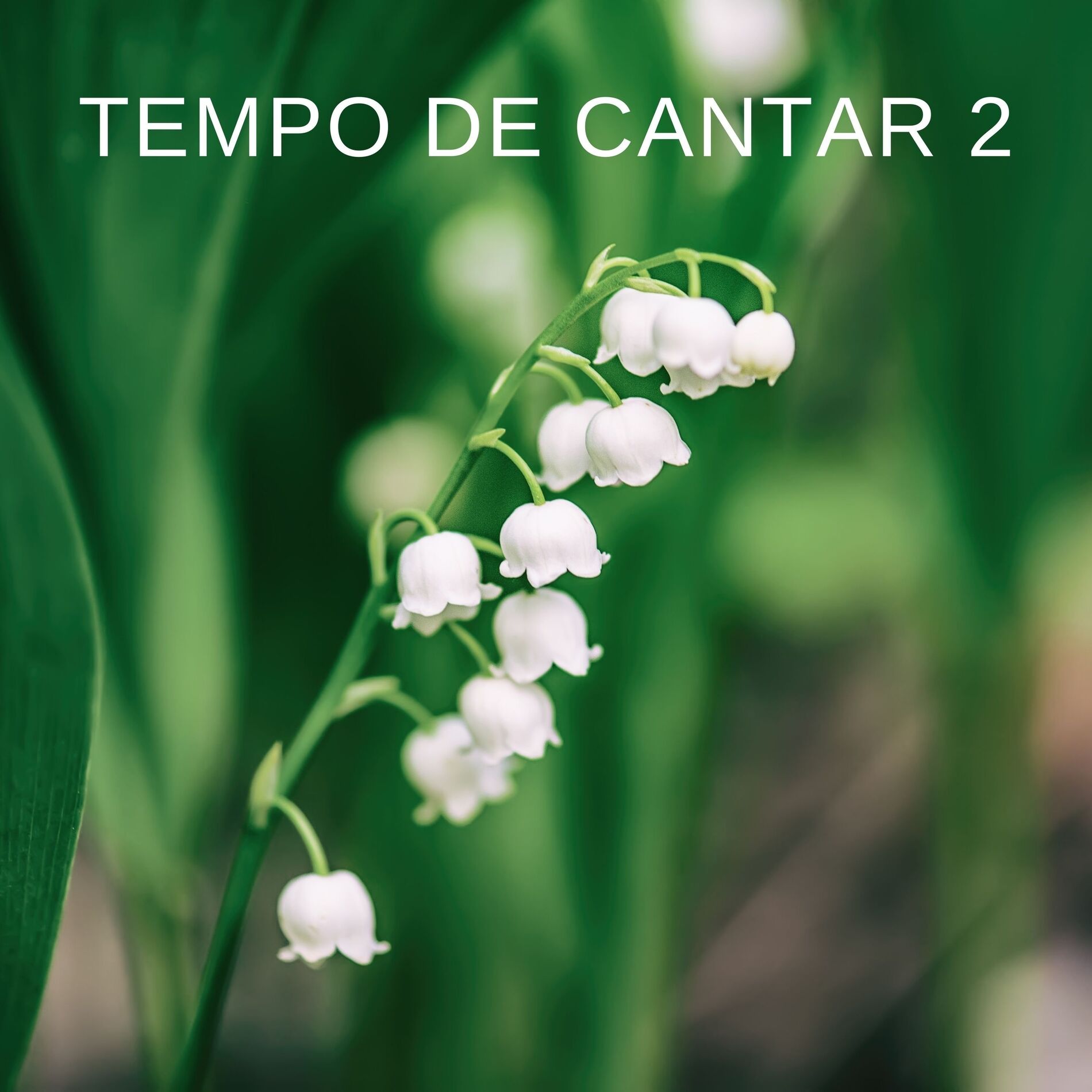 Album cover of Tempo de cantar 2