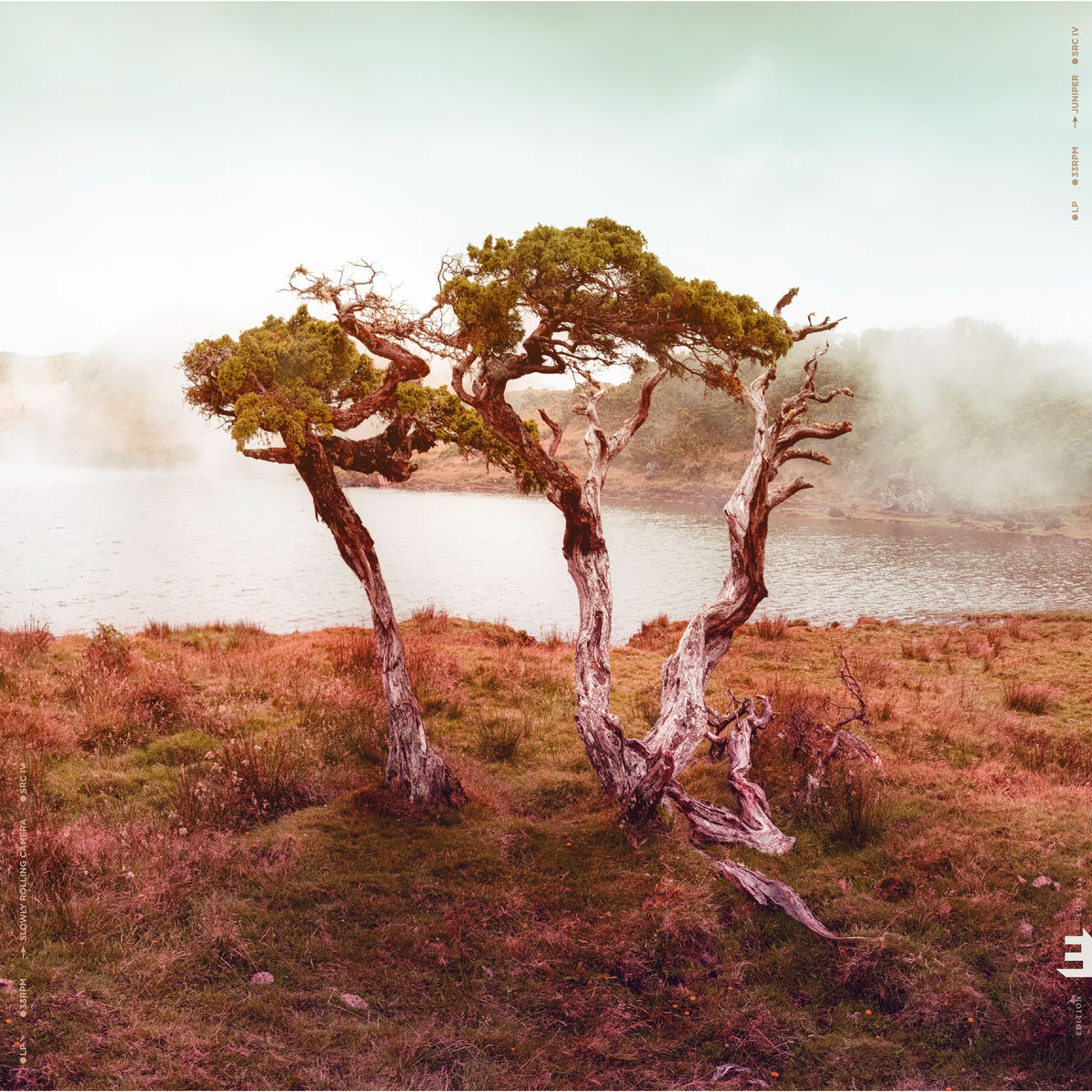 Album cover of Juniper