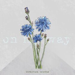 Cover of on my way (acoustic)