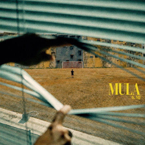 Mula