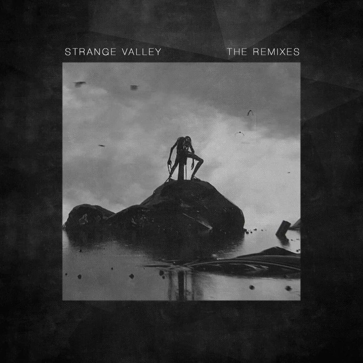 Album cover of Strange Valley (The Remixes)