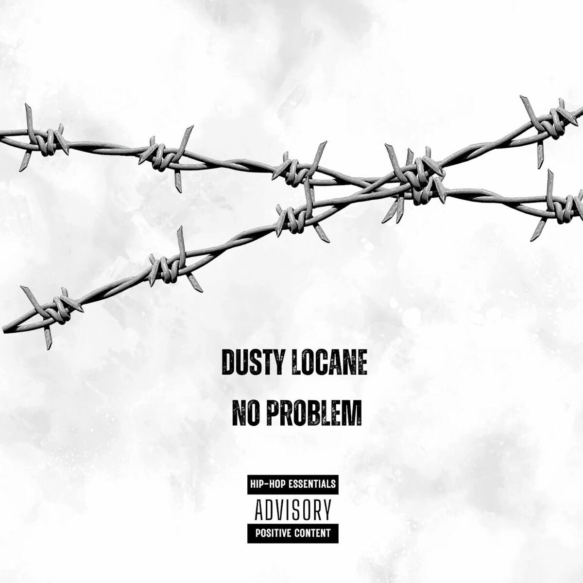 Album cover of NO PROBLEM