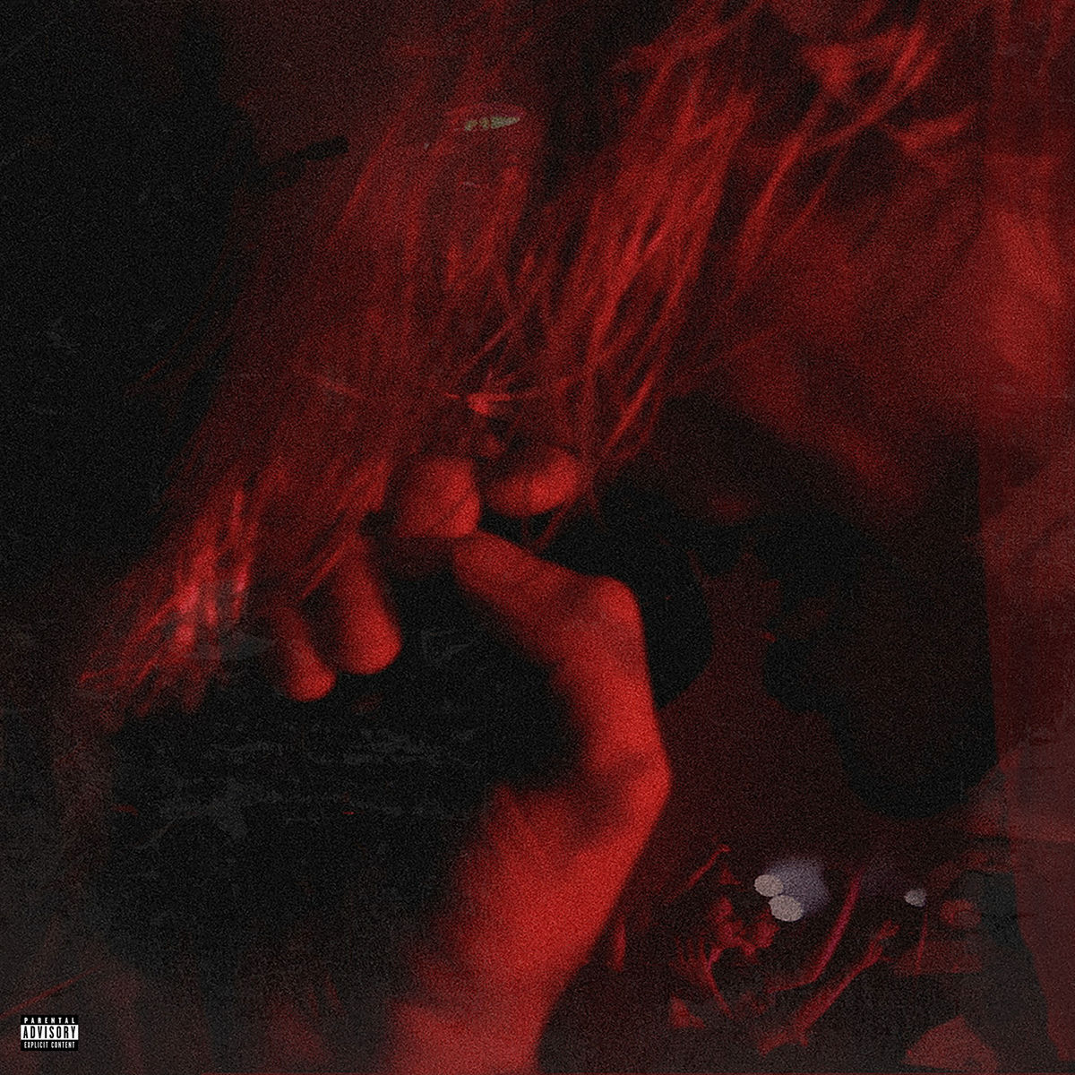 Album cover of The New Insane