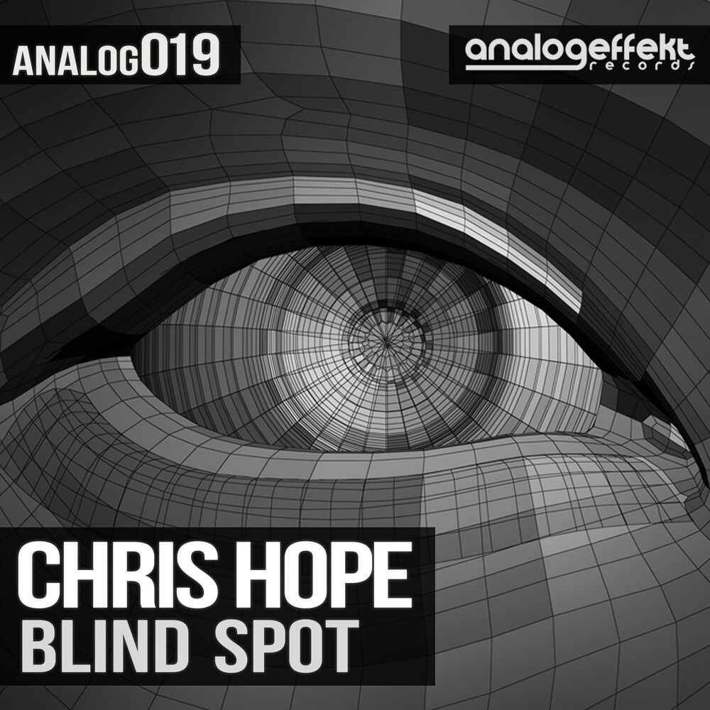 Picture of Blind Spot