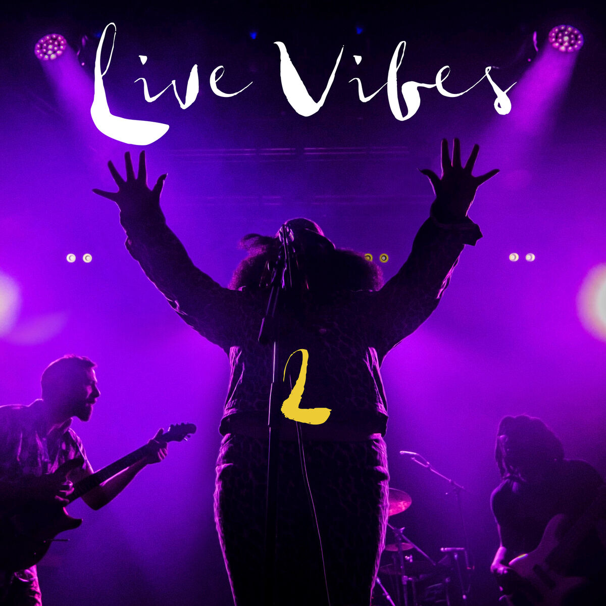 Album cover of Live Vibes 2 (Live)