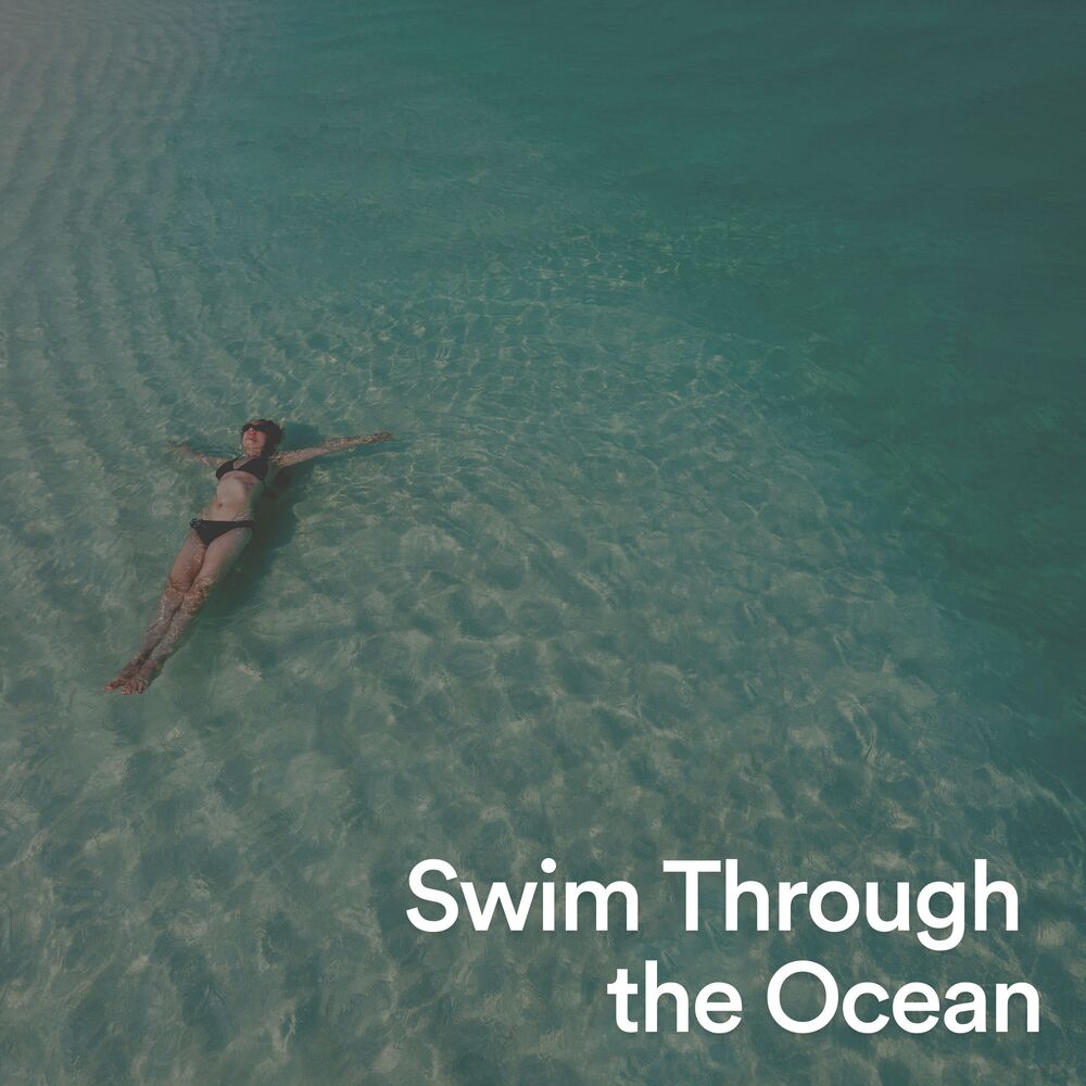 Picture of Swim Through the Ocean