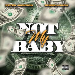 Cover of Not My Baby