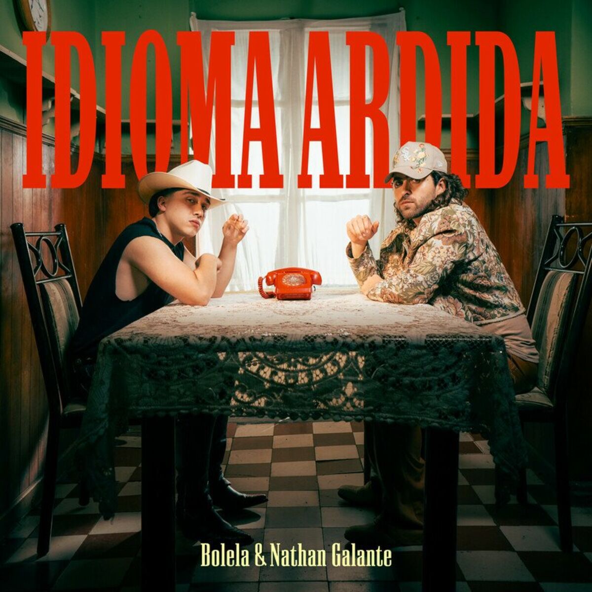 Album cover of IDIOMA ARDIDA