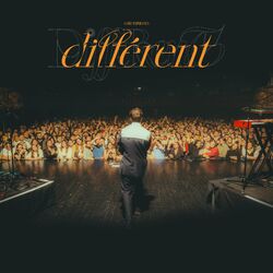 Cover of Différent