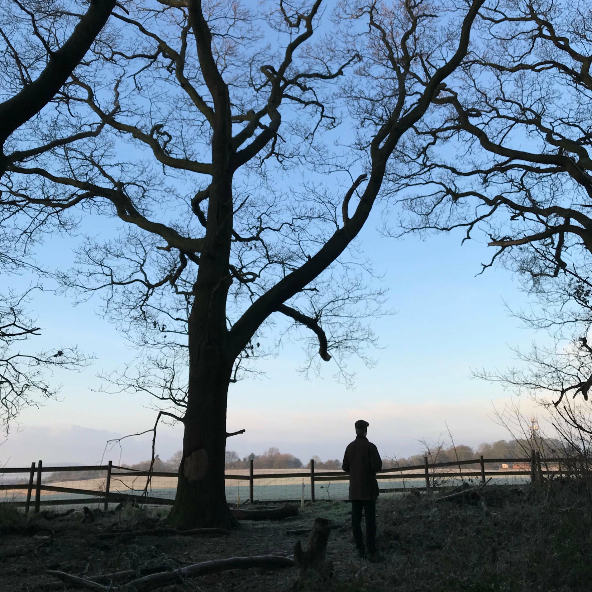 Album cover of Morning