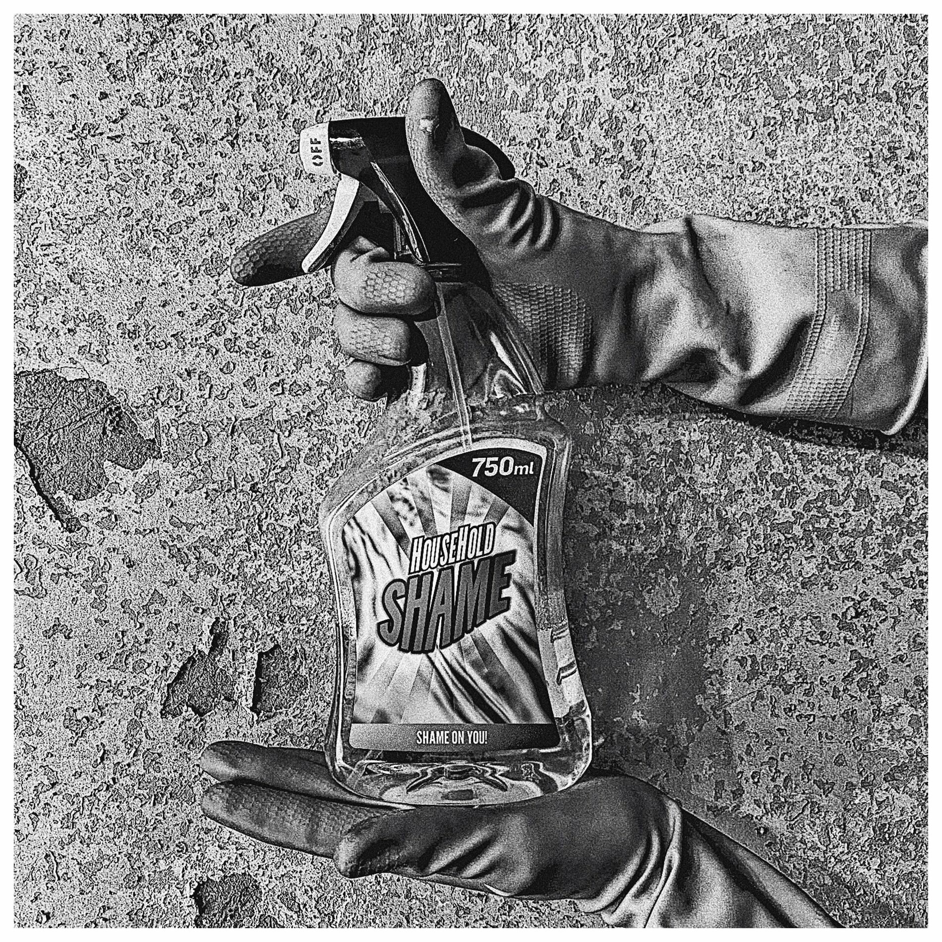 Album cover of Household Shame