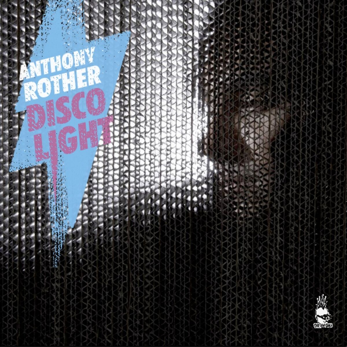 Album cover of Disco Light