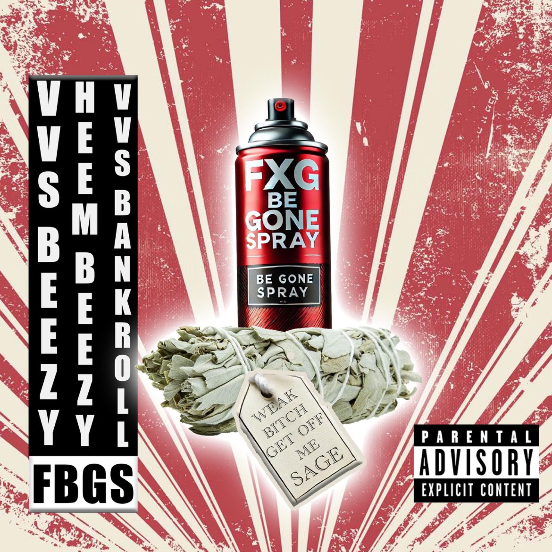 Album cover of F.B.G.S (feat. Heembeezy & Vvs Bankroll)