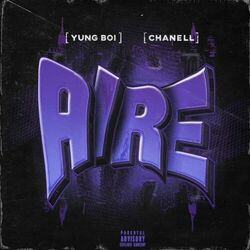 Cover of Aire
