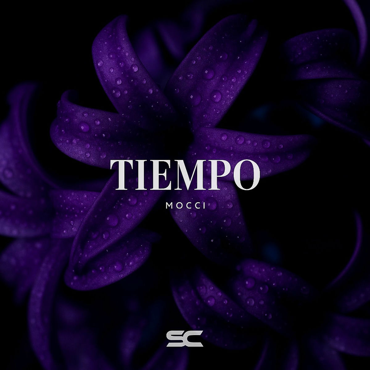 Album cover of Tiempo