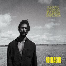 Cover of No Reason