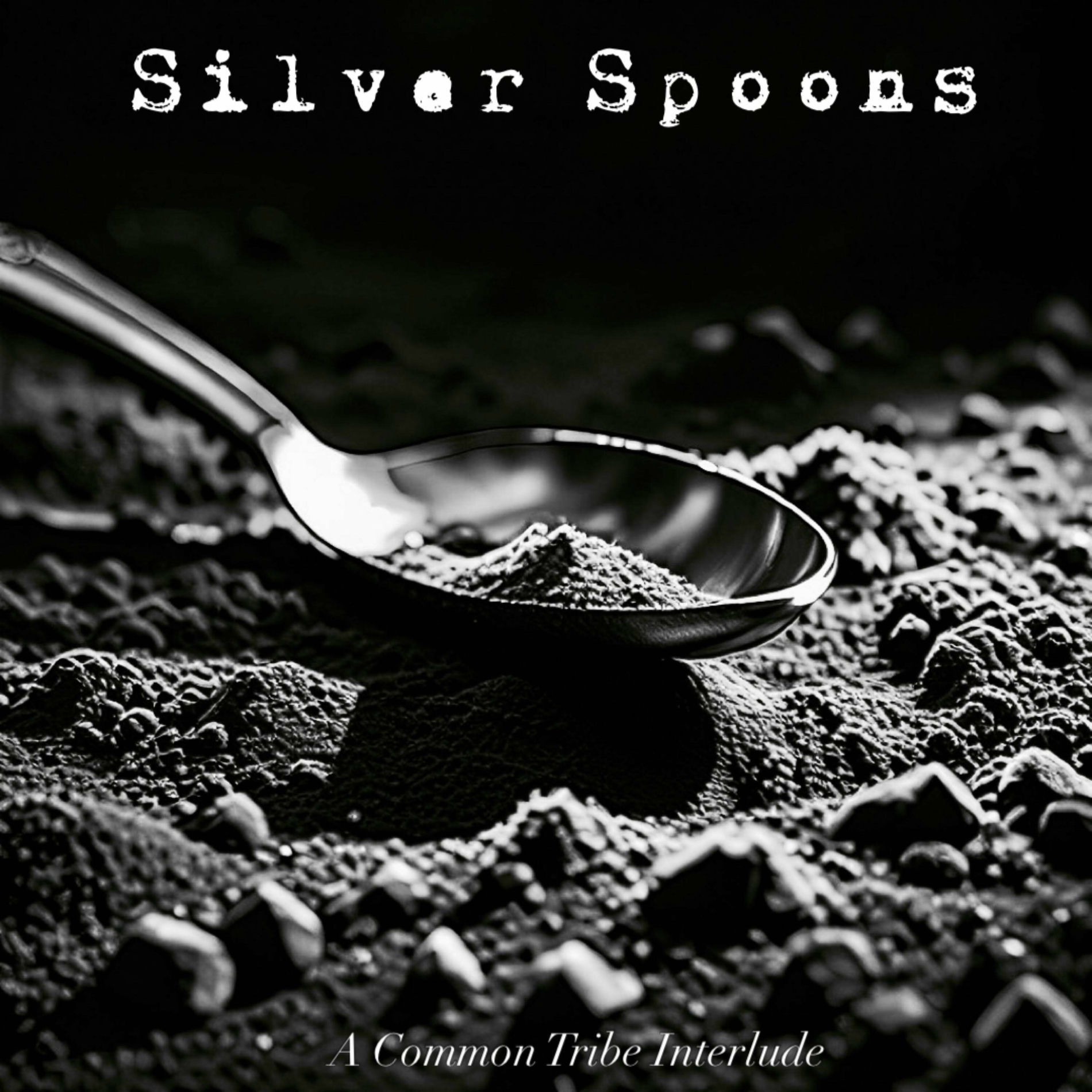 Album cover of Silver Spoons (interlude)