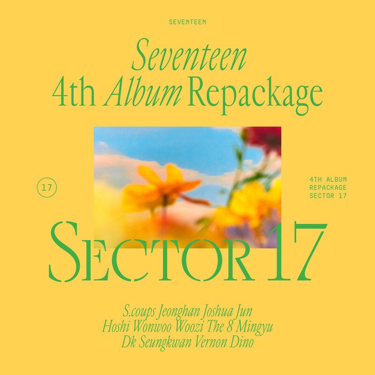 Album picture of SEVENTEEN 4th Album Repackage 'SECTOR 17'