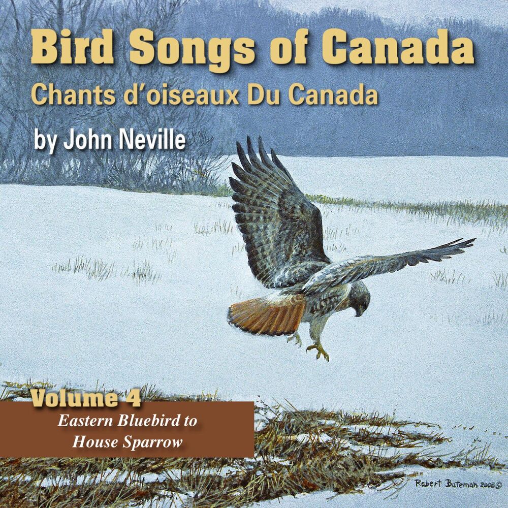 Picture of Bird Songs of Canada, Vol. 4