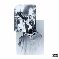 Disclude / void | VSDA-0002 - VGMdb