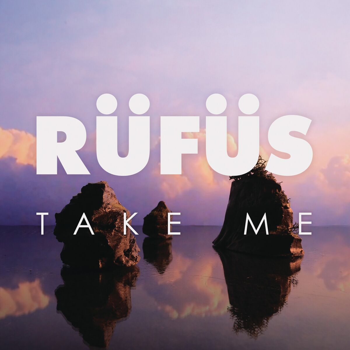 Album cover of Take Me