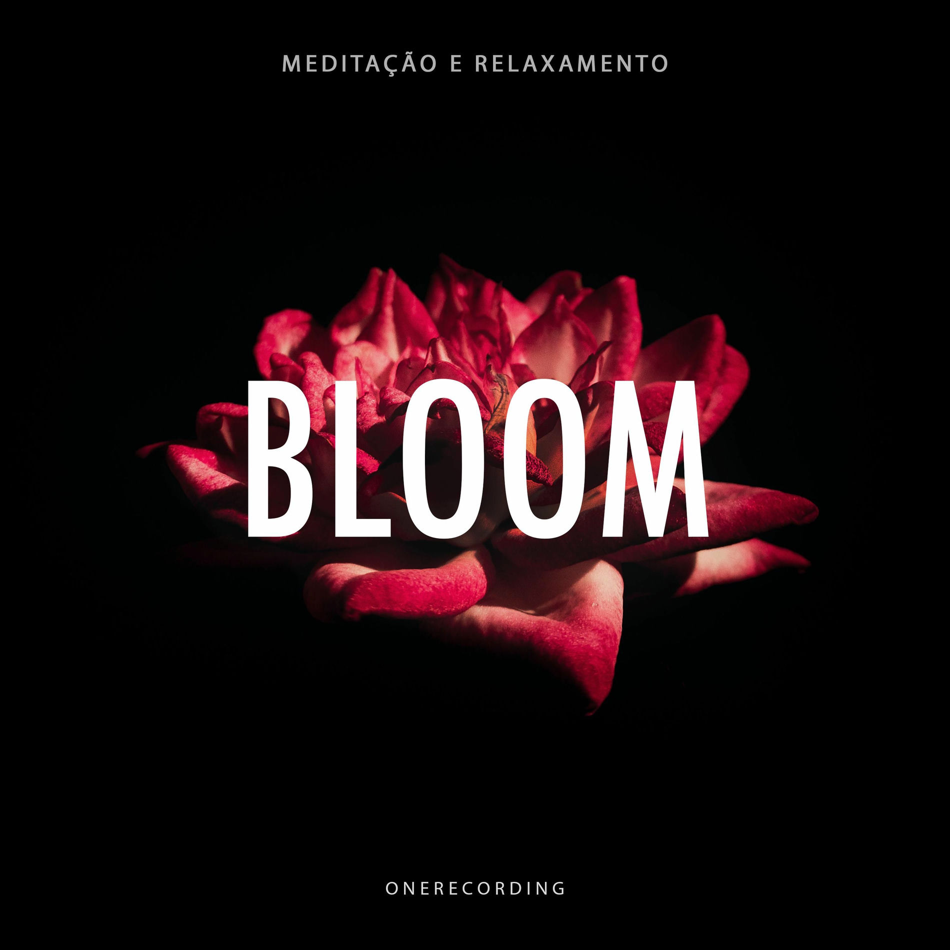 Album cover of Bloom