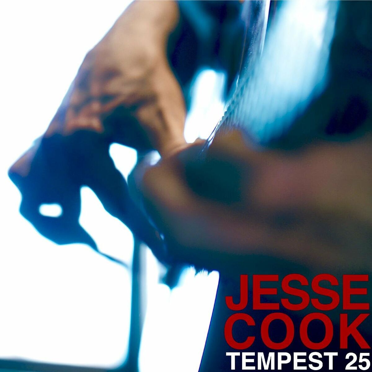 Album cover of Tempest 25