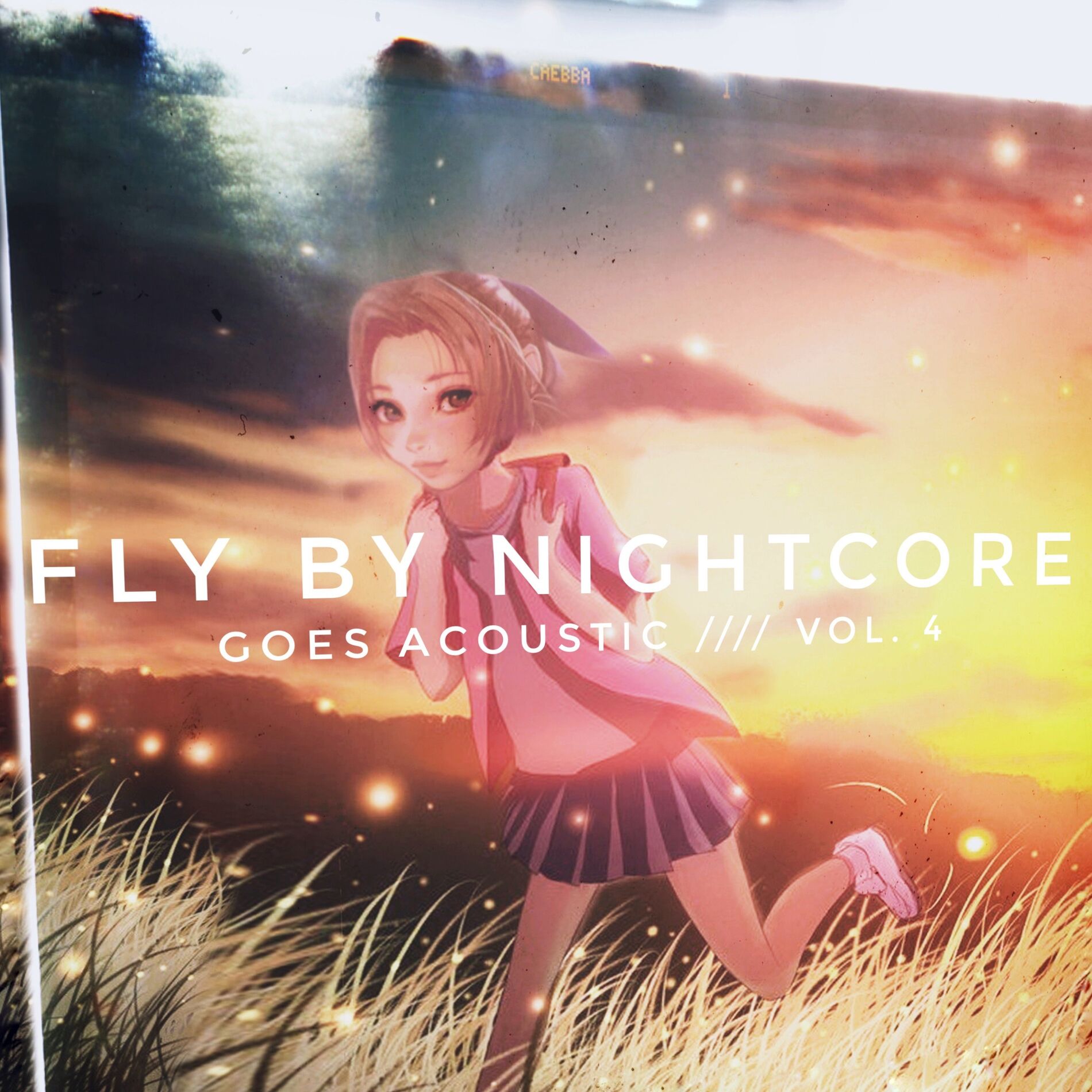 Album cover of Goes Acoustic, Vol. 4