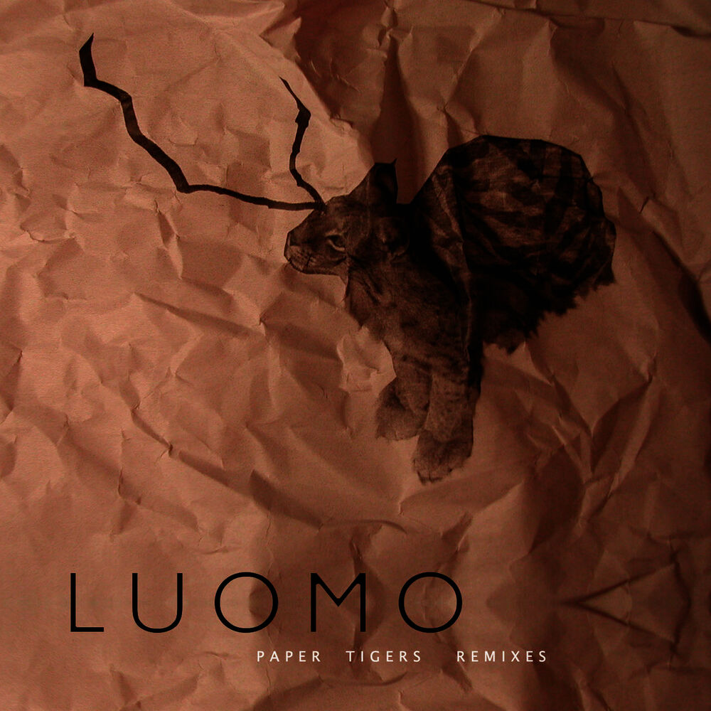 Picture of Paper Tigers Remixes