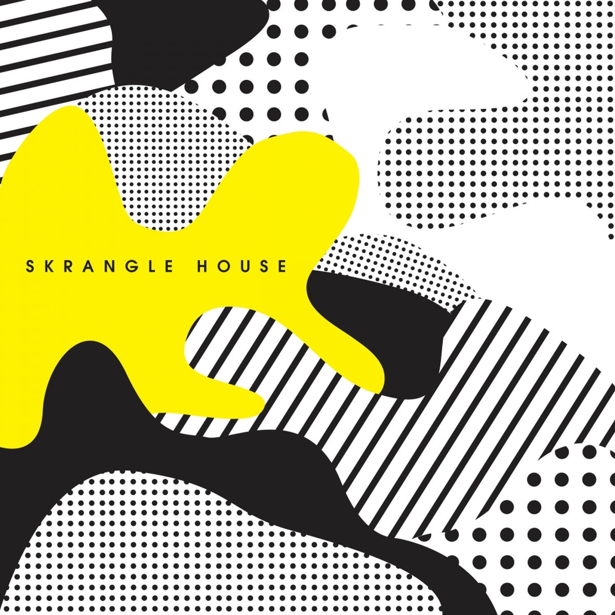 Album cover of Skrangle House
