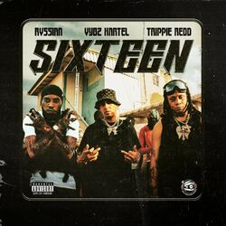 Cover of Sixteen