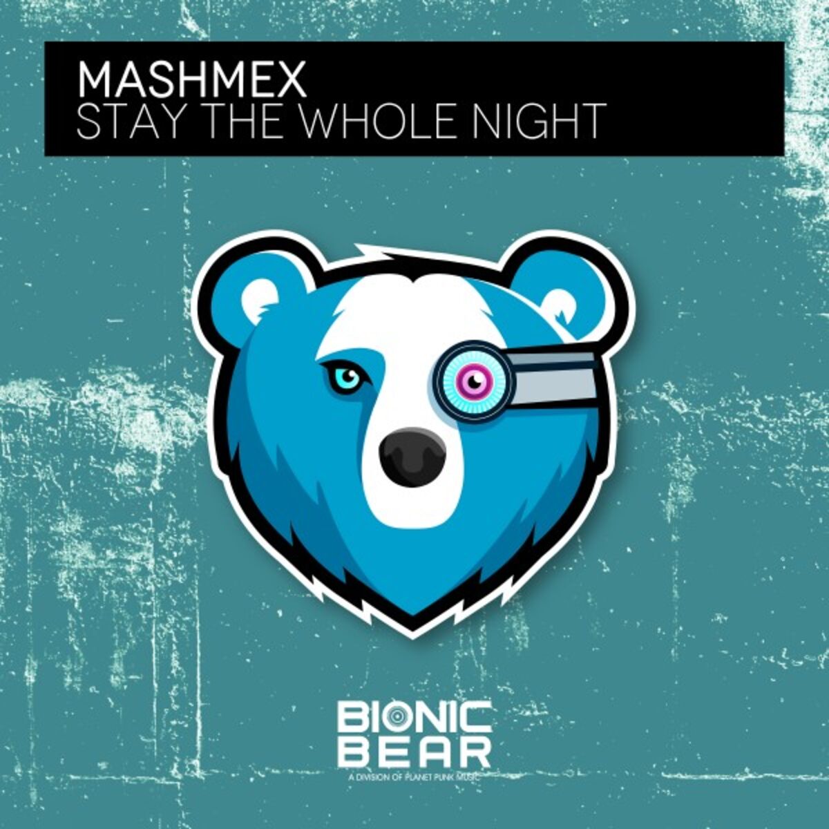Album cover of Stay the Whole Night