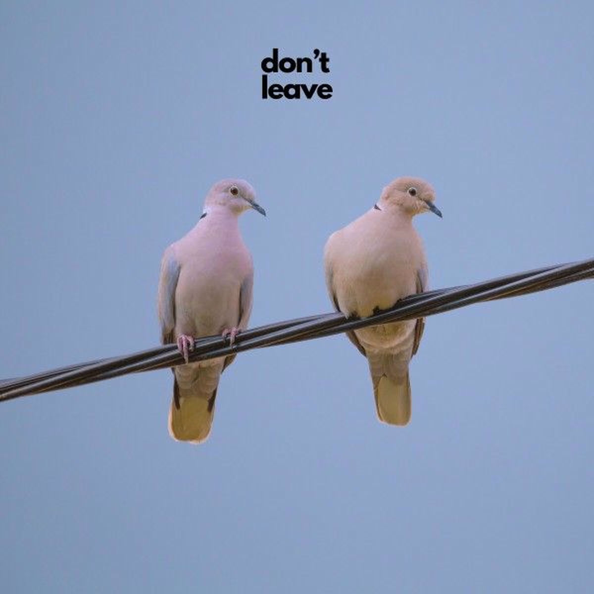 Album cover of Don't Leave