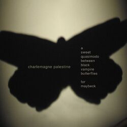Cover of A Sweet Quasimodo Between Black Vampire Butterflies for Maybeck