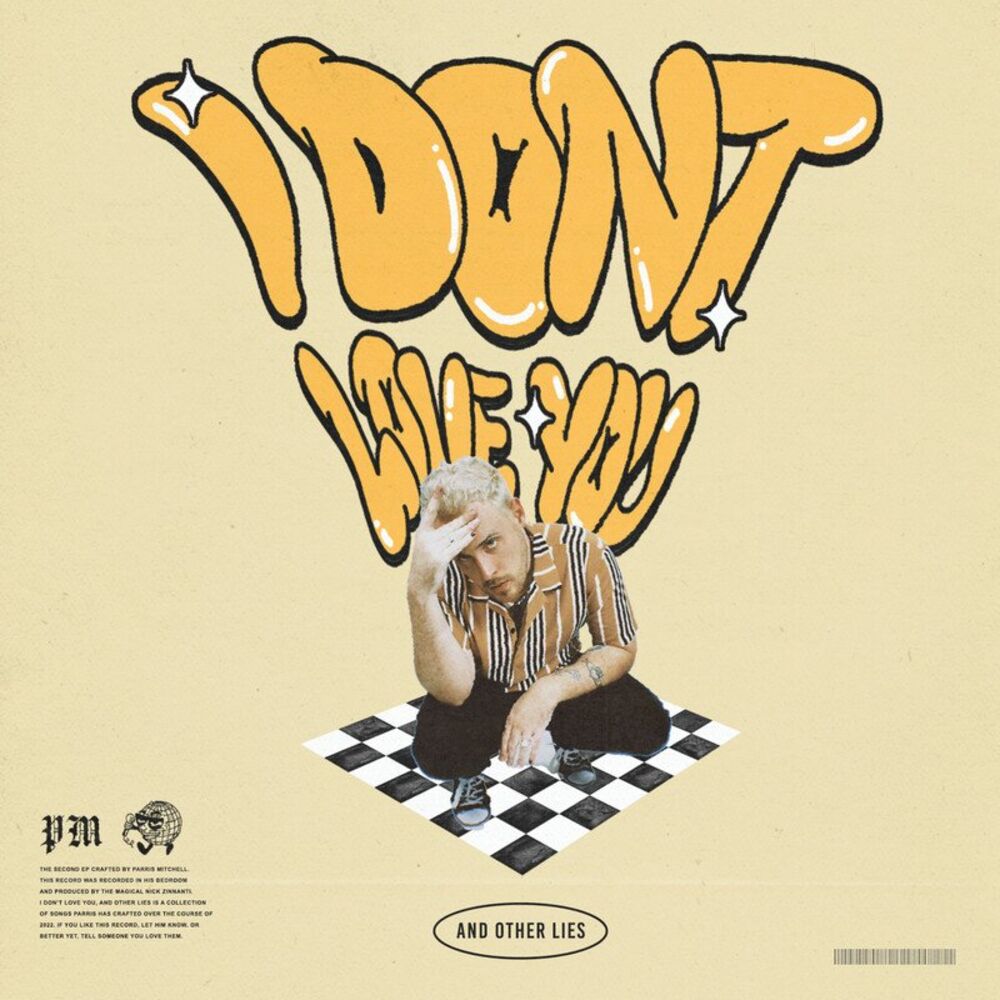 Picture of I Don't Love You, and Other Lies