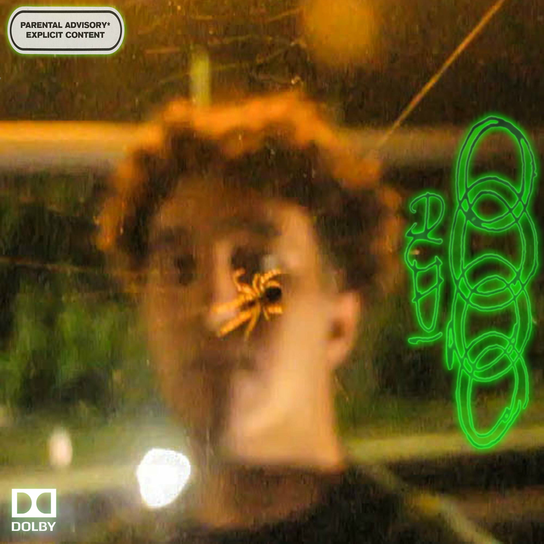 Album cover of Audi