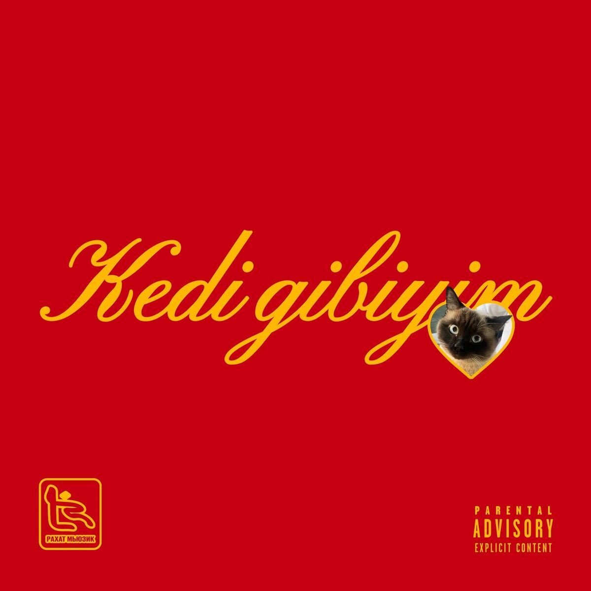 Album cover of Kedi gibiyim