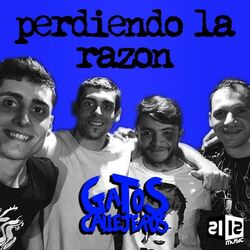 Cover of Perdiendo la Razón