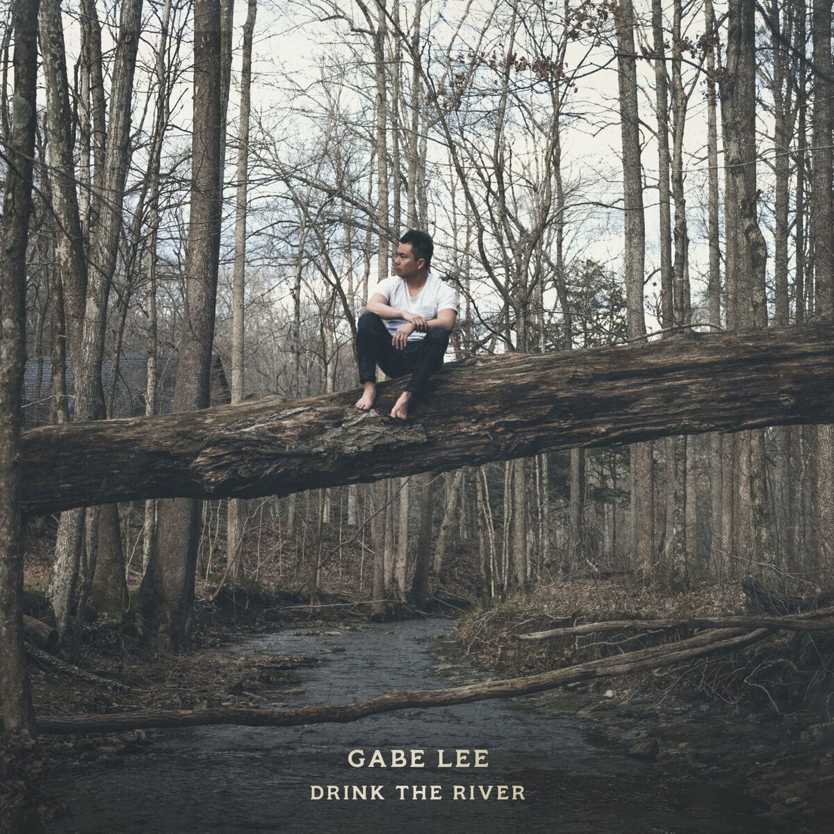 Album cover of Drink The River
