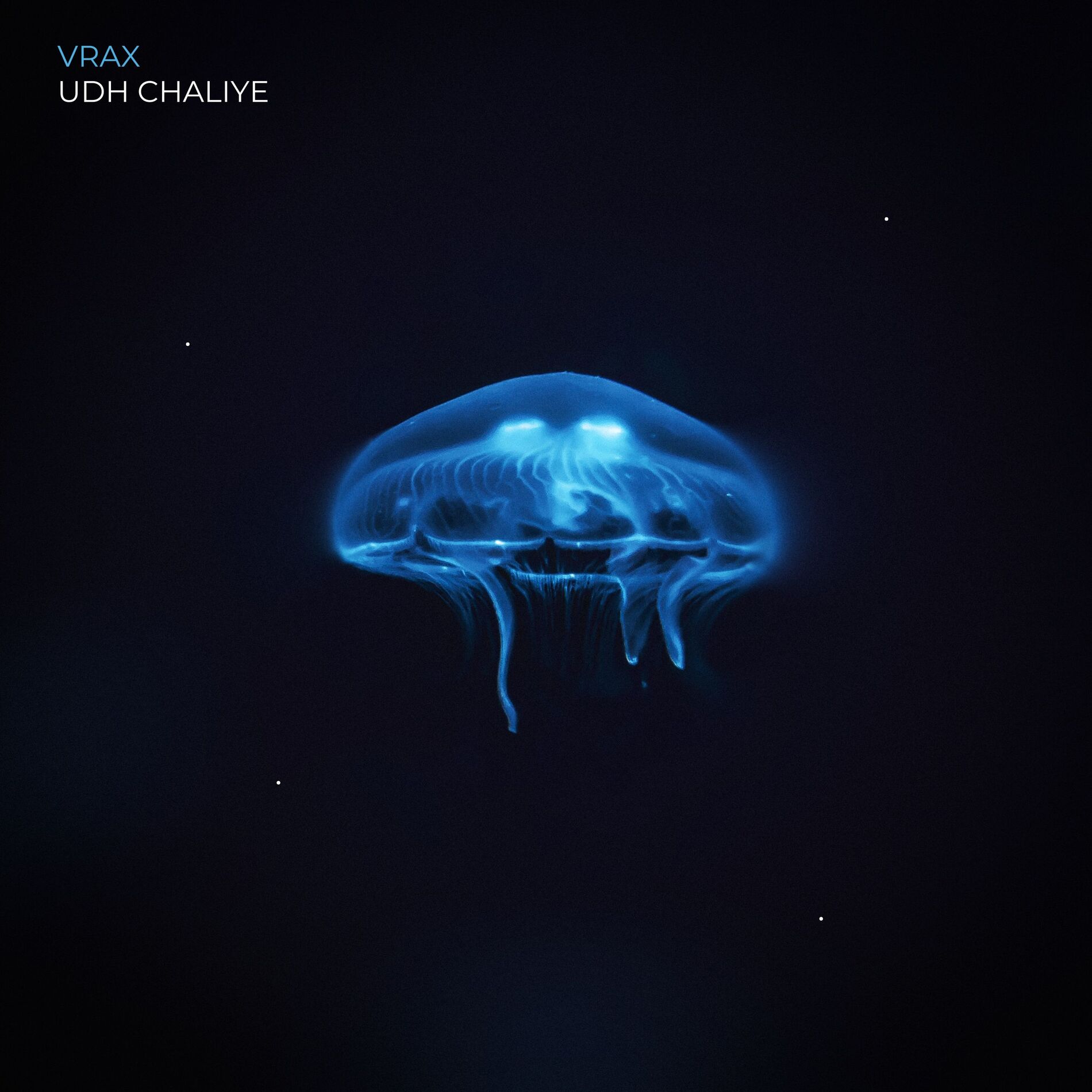 Album cover of UDH CHALIYE