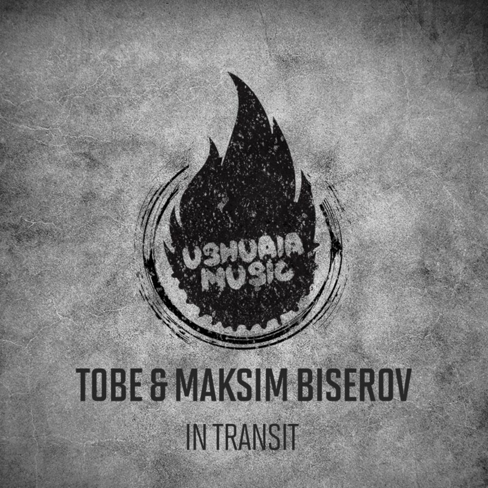 Picture of In Transit